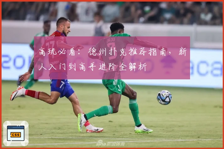 高玩必看：德州扑克推荐指南，新人入门到高手进阶全解析