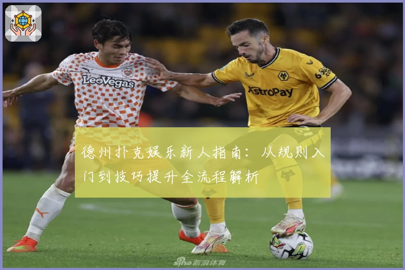 德州扑克娱乐新人指南：从规则入门到技巧提升全流程解析