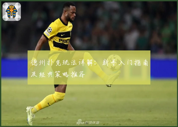 德州扑克玩法详解：新手入门指南及经典策略推荐