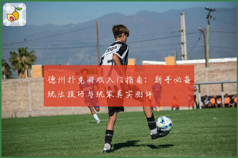 德州扑克游戏入门指南：新手必备玩法技巧与玩家真实测评