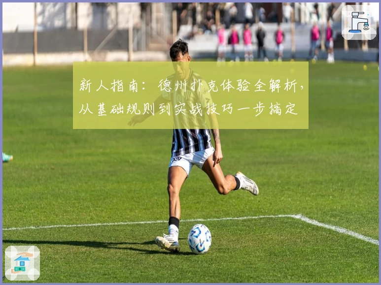 新人指南：德州扑克体验全解析，从基础规则到实战技巧一步搞定