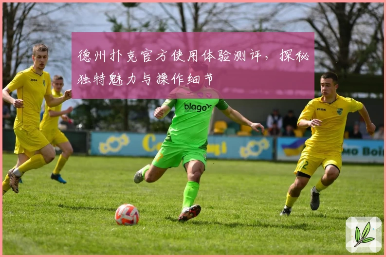 德州扑克官方使用体验测评，探秘独特魅力与操作细节