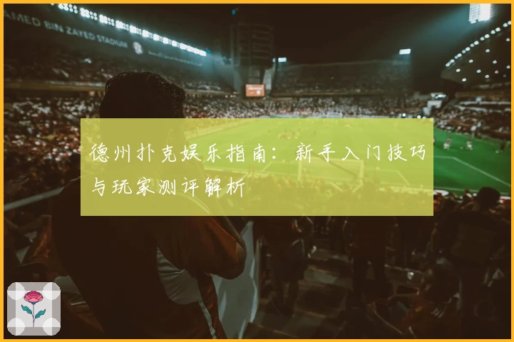 德州扑克娱乐指南：新手入门技巧与玩家测评解析